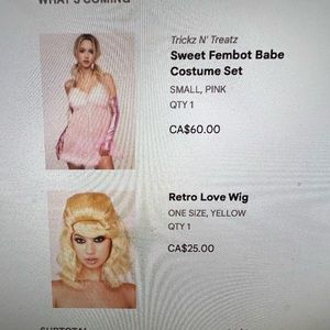 Austin Powers Fembot Costume